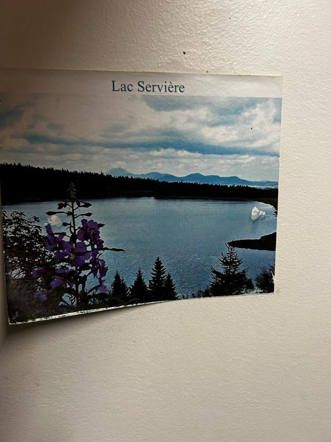 Super-Besse Residence Le Lac Bleu Serviere Chez Lorenzo Et Severine Extérieur photo